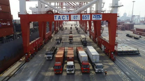 進(jìn)口美國(guó)紙箱的海運(yùn)提貨與清關(guān)代理全攻略