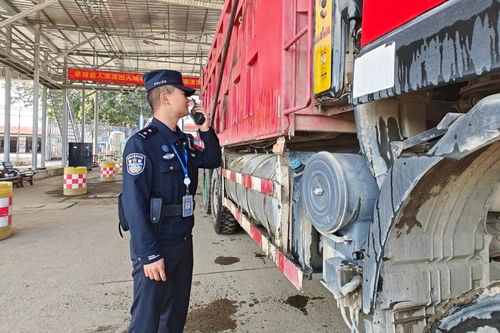 瑞麗口岸2025年進出口貨物通關量突破136萬噸 展現邊境貿易新活力